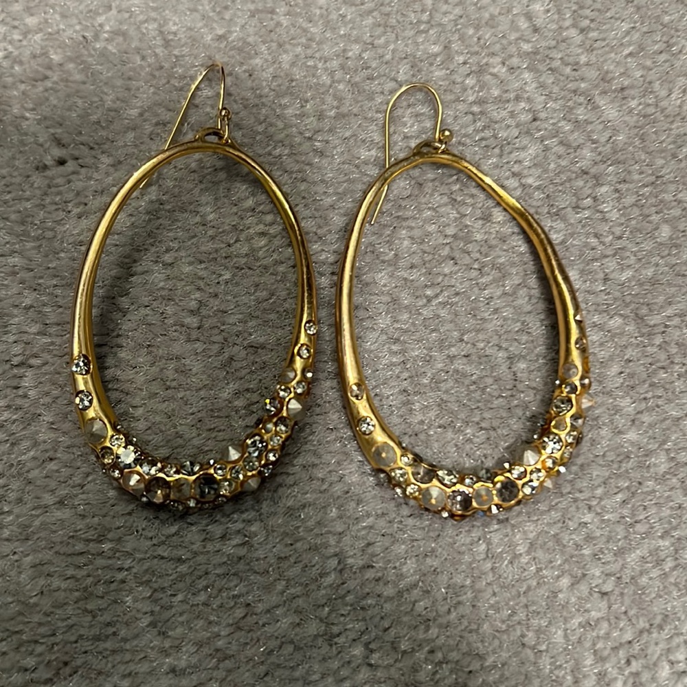 Alexis bittar gold earring with stones